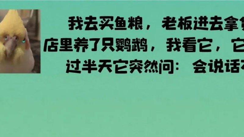 休闲食品价格之谜：一斤多少，揭秘其背后的秘密